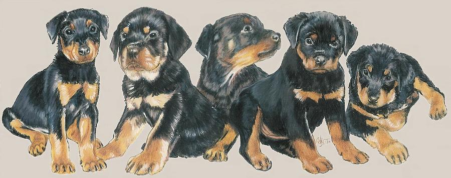Rottweiler Puppies Mixed Media by Barbara Keith