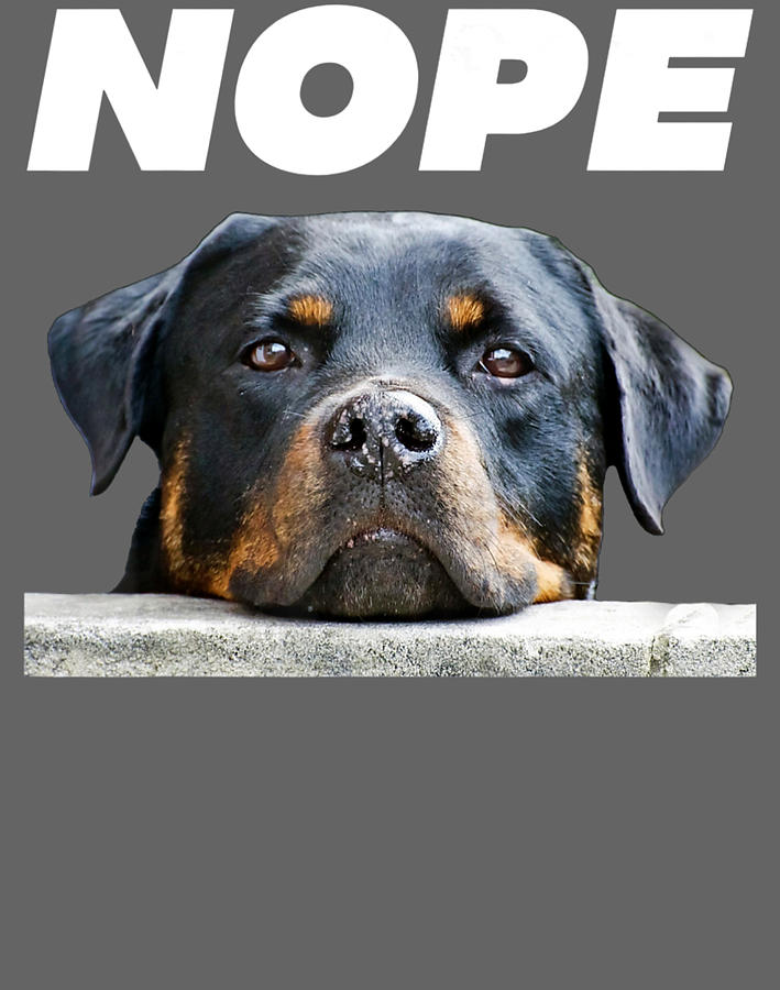 Rottweiler Digital Art - Rotweiller Nope Rottie Face Not Today Love My Rottweiler Dog by Lap La Pham