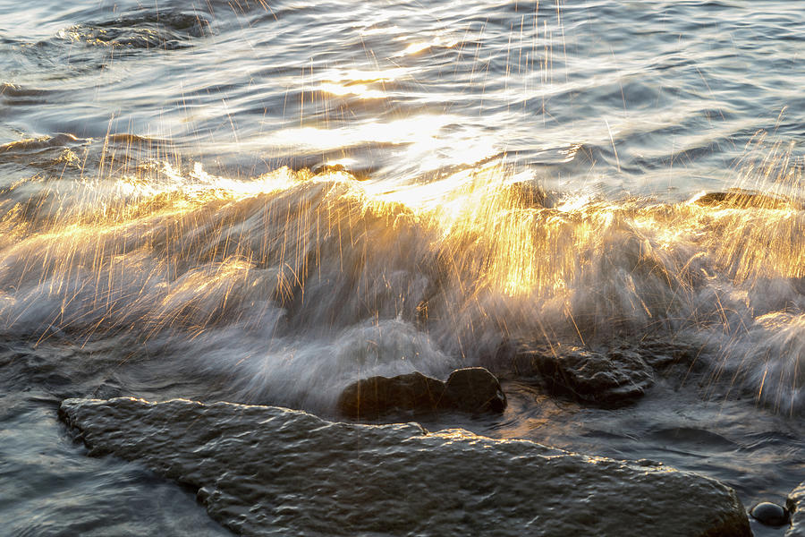 Rough and Soft - Brilliant Golden Shower on the Rocks Photograph by Georgia Mizuleva