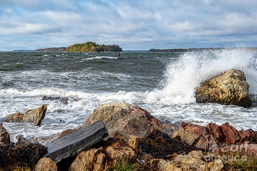 Rough Day Photograph by Timothy Brokaw - Fine Art America