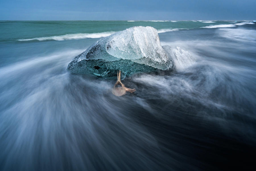 Rough in the Diamond Photograph by Dee Potter