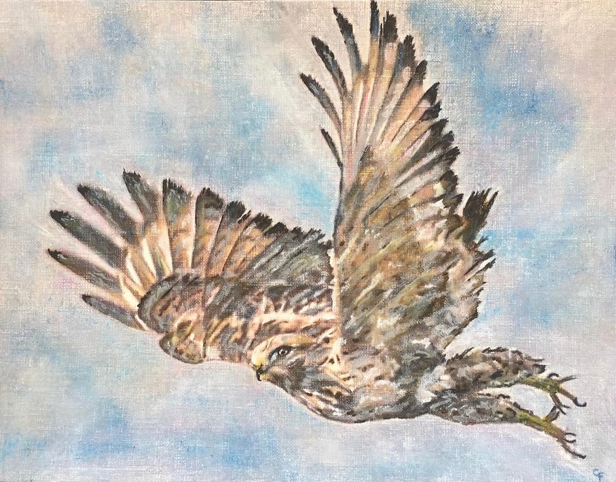 Rough legged Hawk Painting by Cara Frafjord