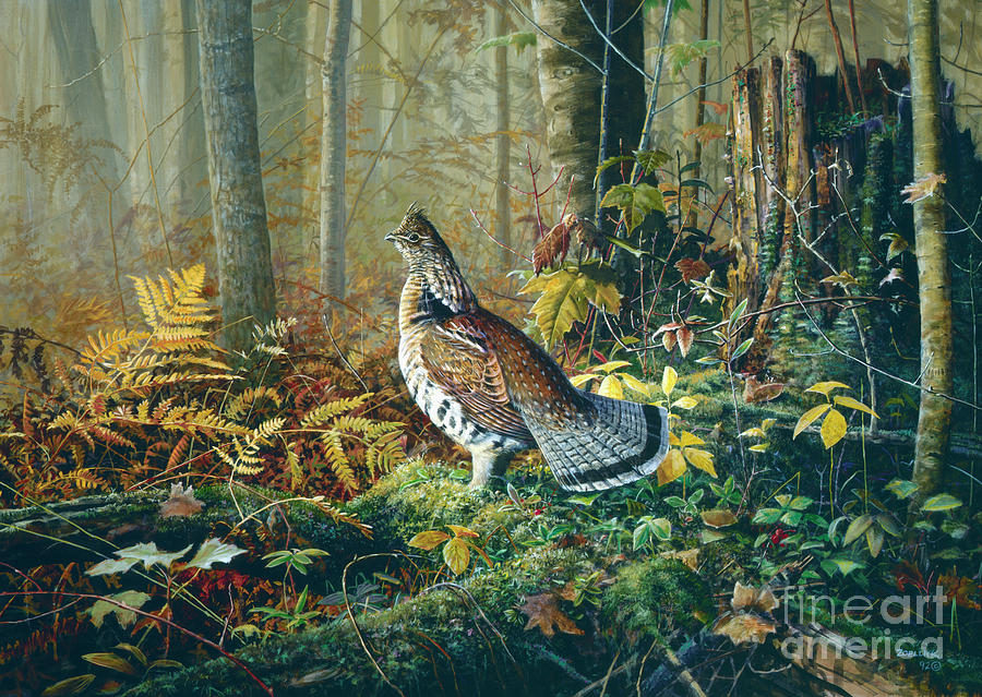 Roughed Grouse 2 Painting by Scott Zoellick