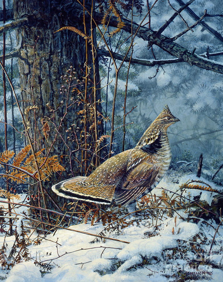Roughed Grouse 3 Painting by Scott Zoellick