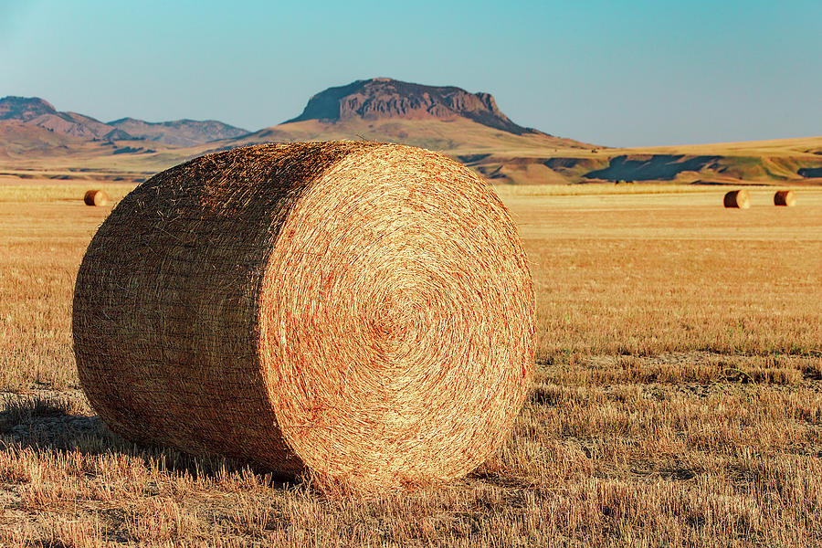Round Bale and Butte Photograph by Todd Klassy
