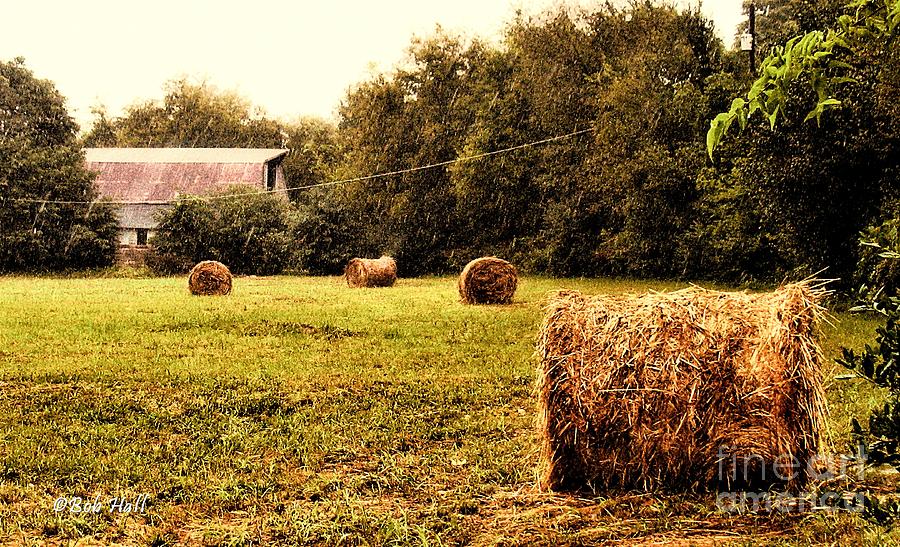 Round Bales Along the Tree line Photograph by Bob Hall