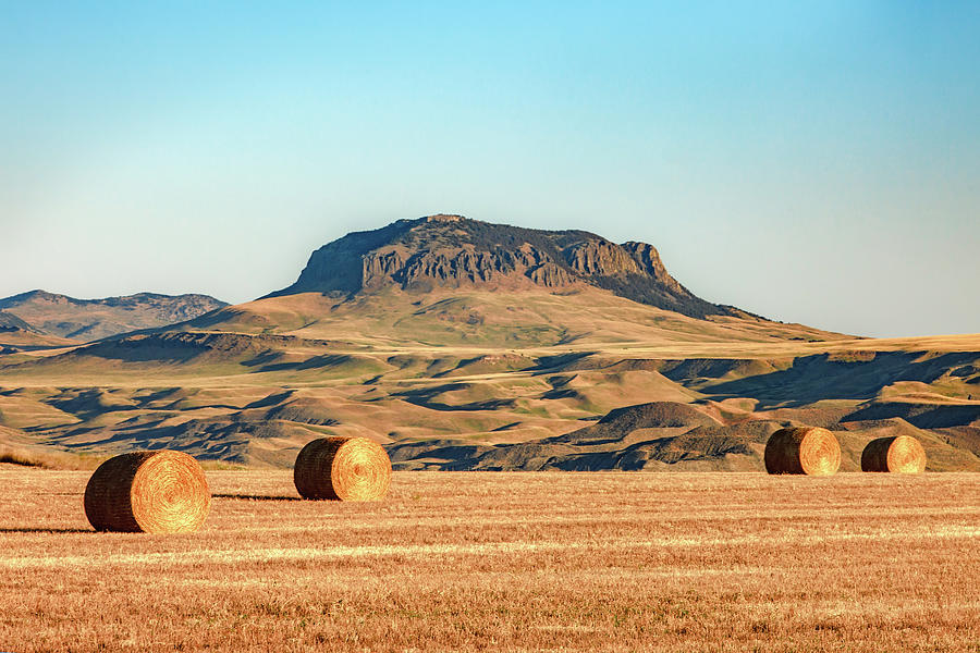 Round Bales and Butte Photograph by Todd Klassy