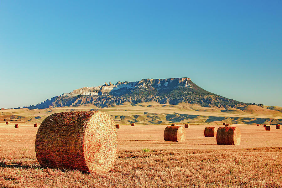Round Bales Square Butte Photograph by Todd Klassy