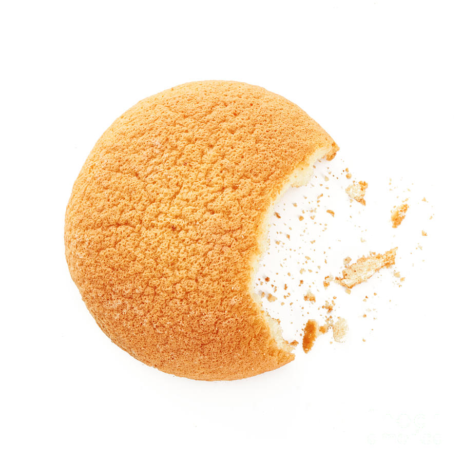 Round Biscuit With Crumbs Photograph