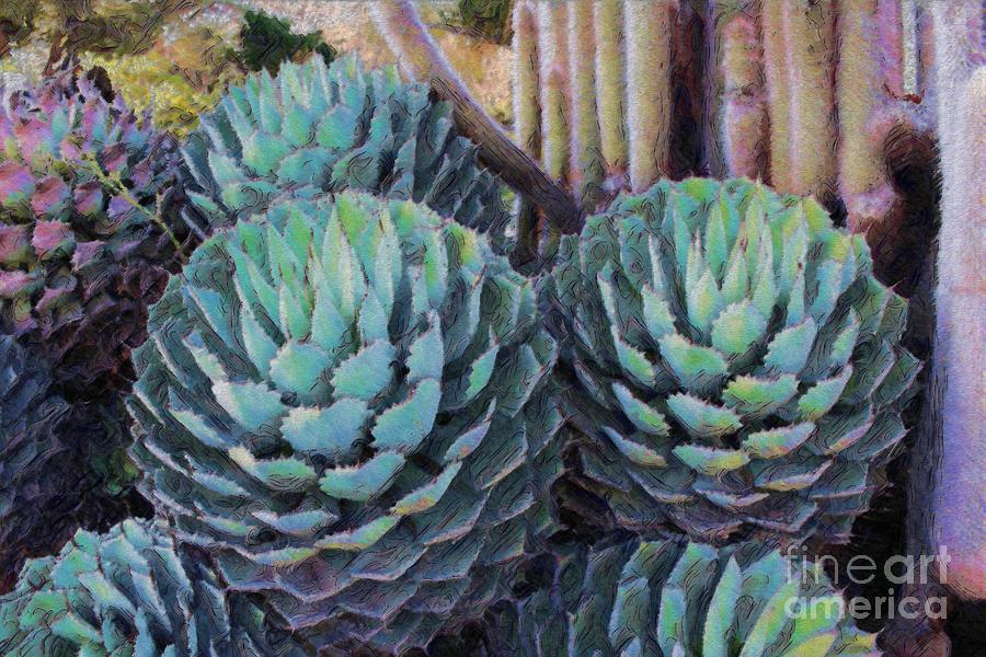 Round Cactus Succulent Photograph by Katherine Erickson