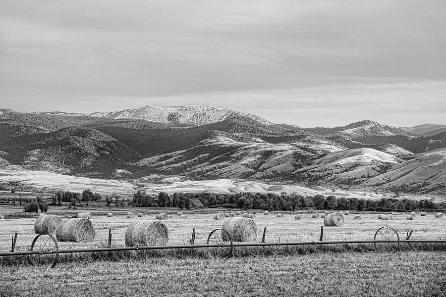 Round Hay Bales of Montana Monochrome Photograph by Jennie Marie Schell