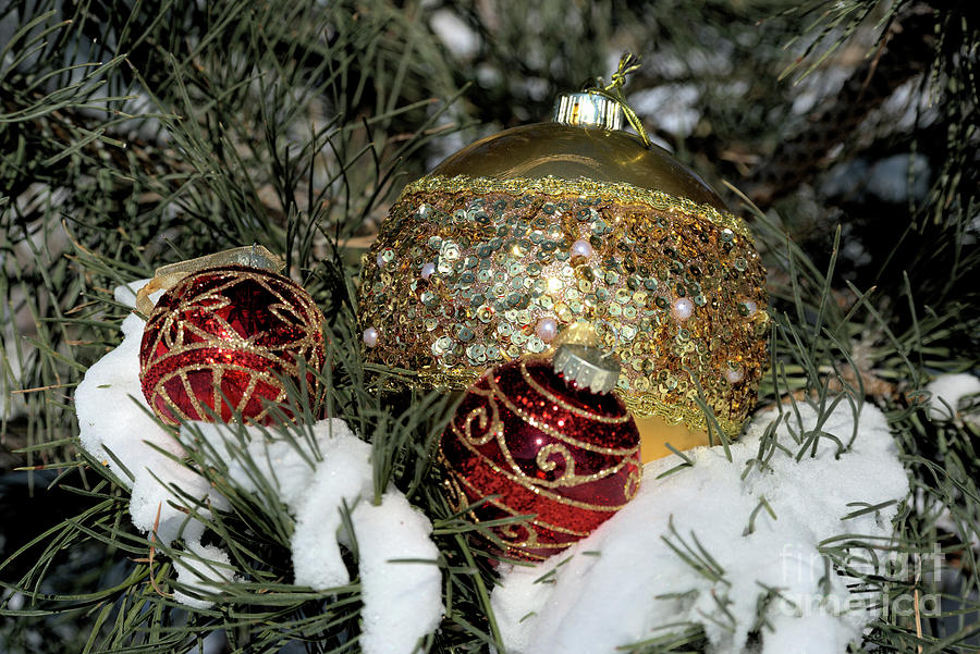 Round Holiday Ornaments Outdoors Photograph by Kae Cheatham