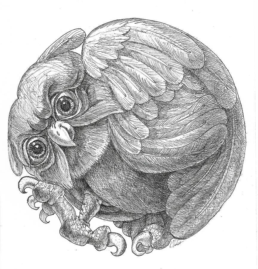 Round Owl Drawing by Victor Molev