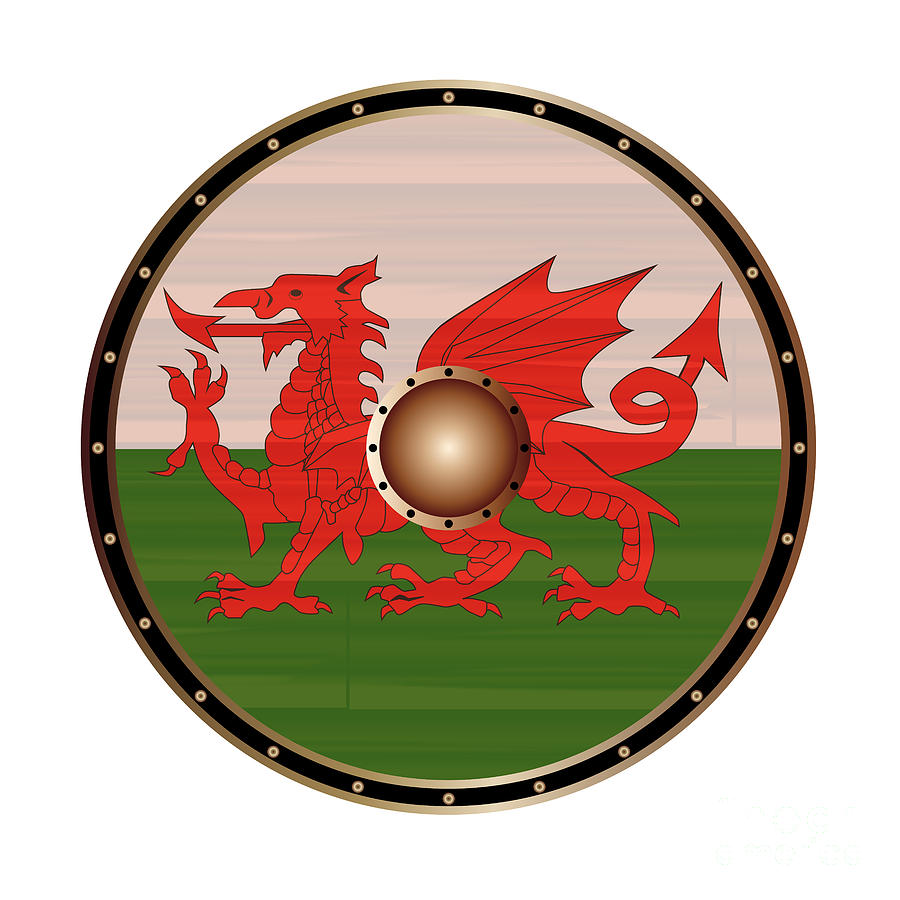 Round Viking  Style Shield  With Welsh Dragon  Flag Digital 