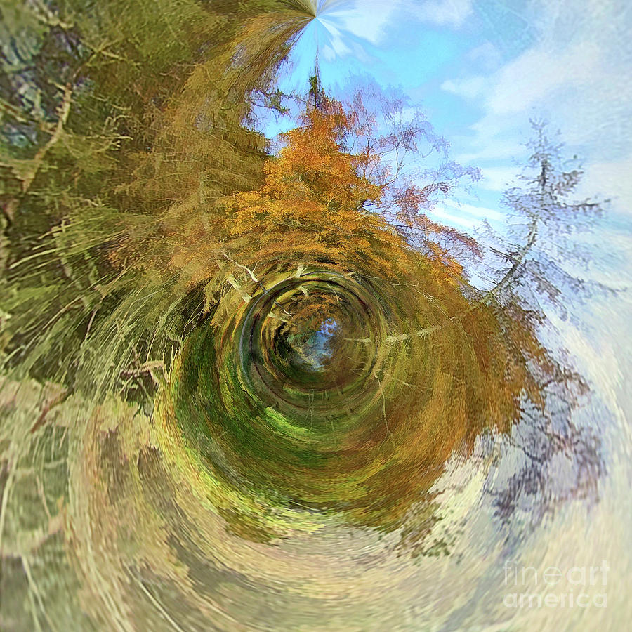 Roundabout Planet Cumbria 5 Digital Art by David Hargreaves