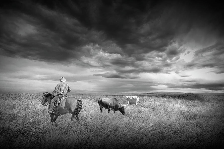 Rounding up the Strays in Black and White Photograph by Randall Nyhof