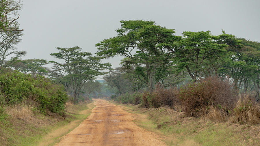 Route through the Queen Elizabeth National Park Photograph by Travel Quest Photography
