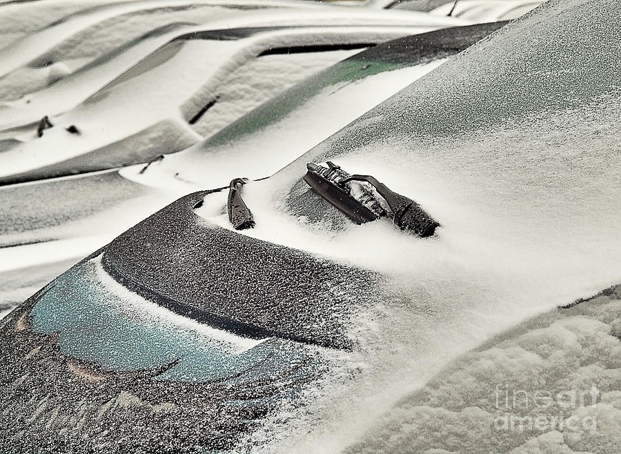 Row Of Cars Covered With Snow Photograph by Tatiana Bogracheva