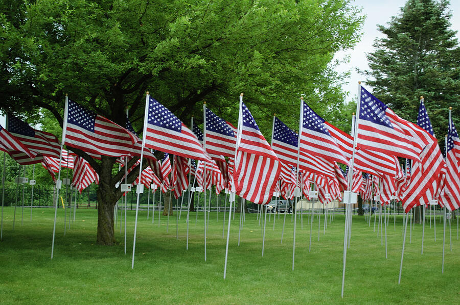 Row of flags Photograph by Thierry Lach Row of flags Photograph by Thierry Lach