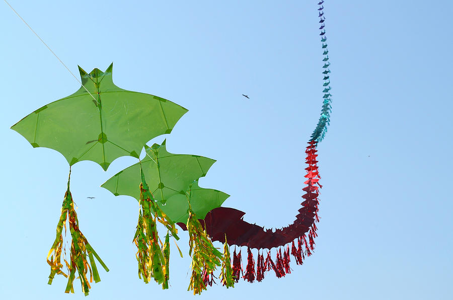 Row of kites, Gujarat, India Photograph by Anand Purohit