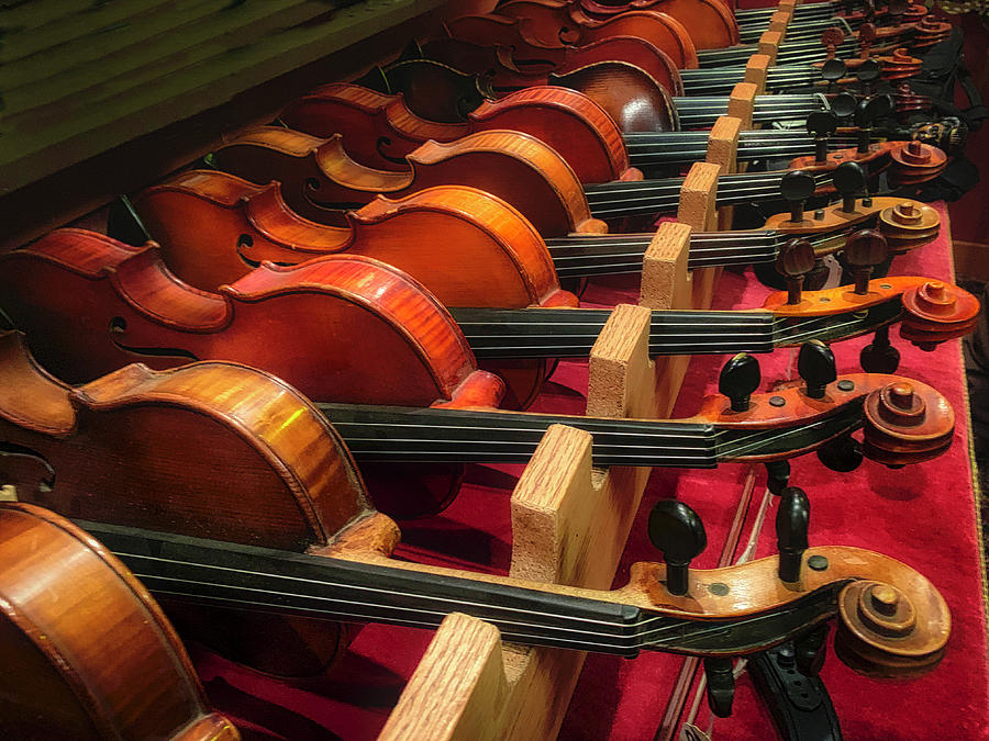 Violin Photograph - Row Of Old Violins by Garry Gay
