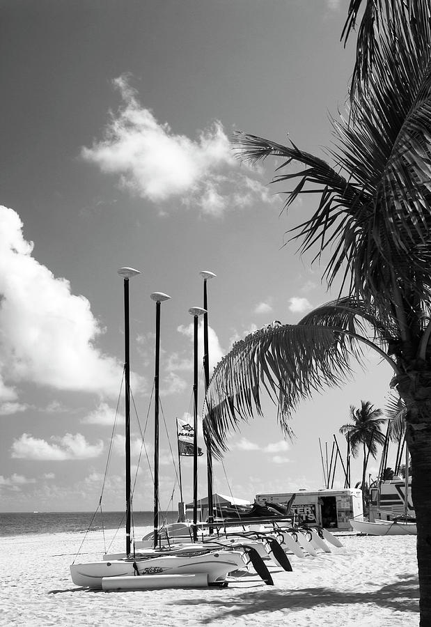 Row of Sailboats BW Photograph by Bob Pardue