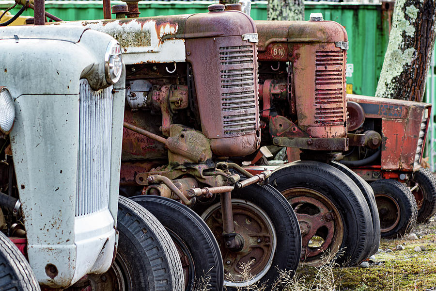 Row of Tractors Photograph by Denise Kopko