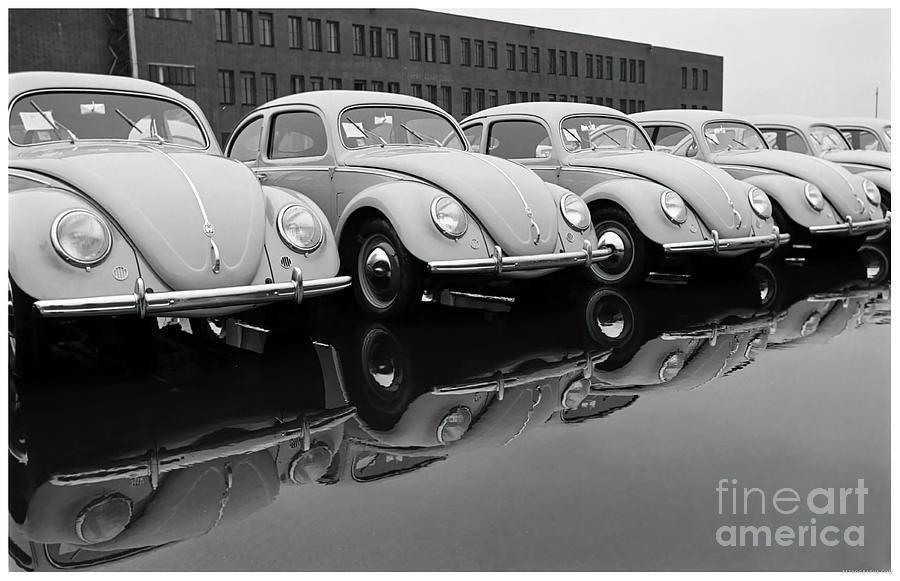 Row of vintage Volkswagen Beetles Photograph by Retrographs