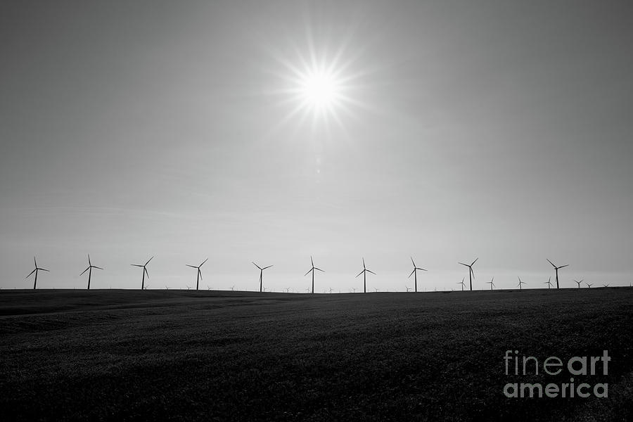 Row Of Wind Turbines BW Photograph by Michael Ver Sprill