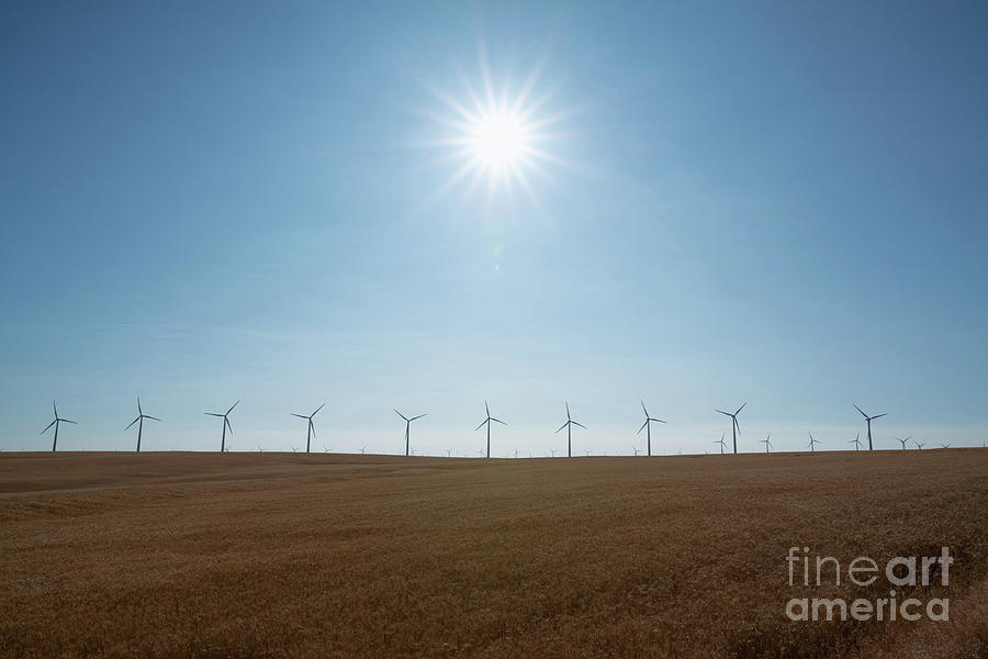 Row Of Wind Turbines  Photograph by Michael Ver Sprill