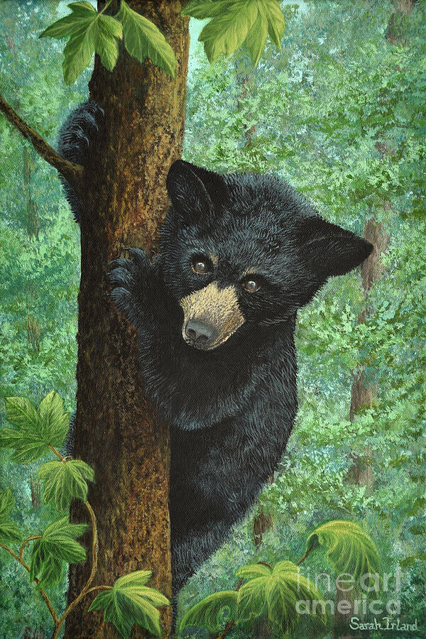 Rowans Bear Painting by Sarah Irland