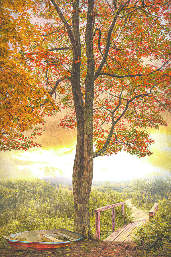 Rowboat at the Autumn Maple Tree Watercolors Painting Photograph by Debra and Dave Vanderlaan