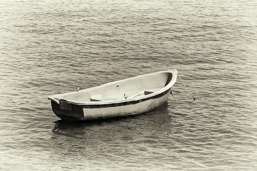 Rowboat In Monochrome Photograph by Tanya C Smith