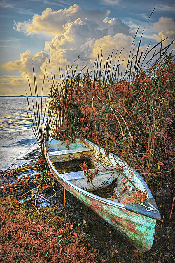 Rowboat in the Autumn Marsh Photograph by Debra and Dave Vanderlaan