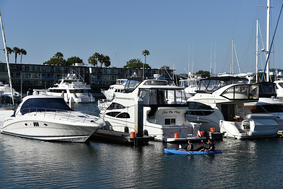 Rowboat in the harbor among sailboats and yachts Photograph by Mark Stout