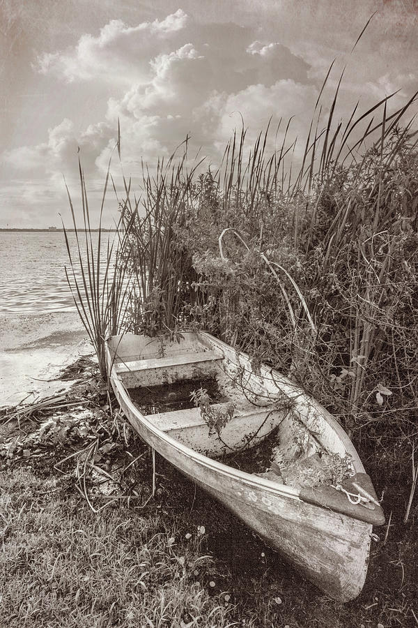 Rowboat in the Marsh in Sepia Tones Photograph by Debra and Dave Vanderlaan