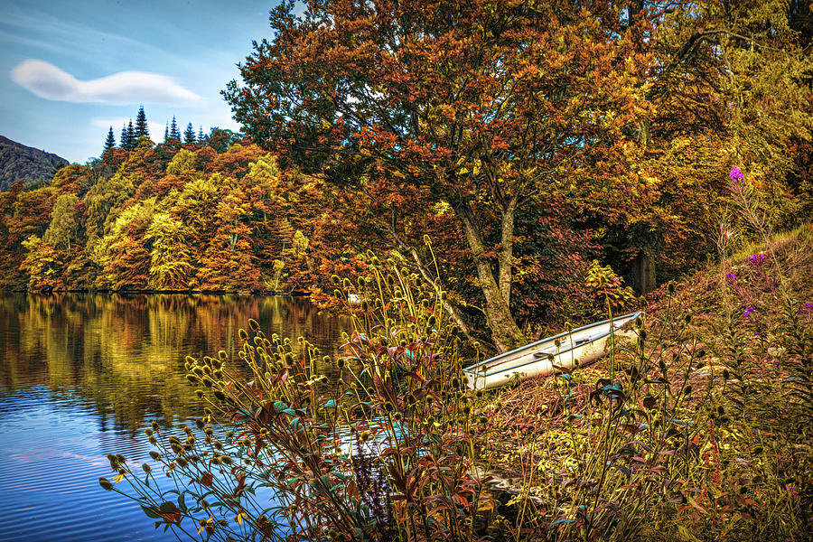 Rowboat in the Middle of Autumn Photograph by Debra and Dave Vanderlaan