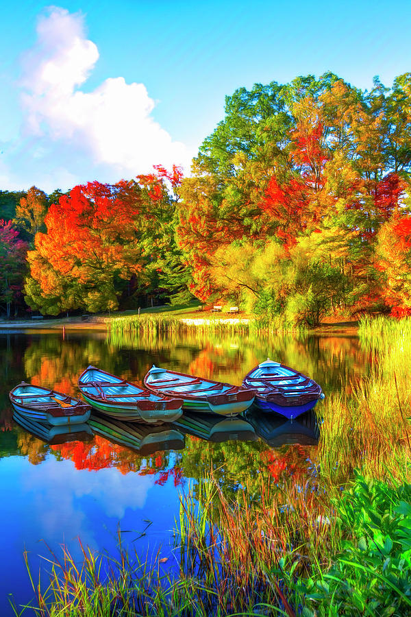 Rowboats Painting Photograph by Debra and Dave Vanderlaan