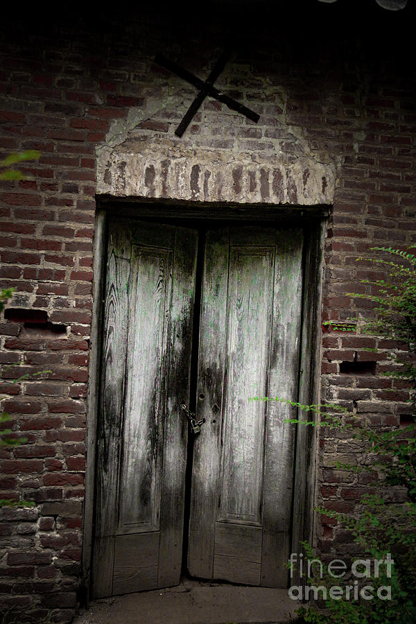 Rowen Oak Barn Door Photograph by Amy Curtis