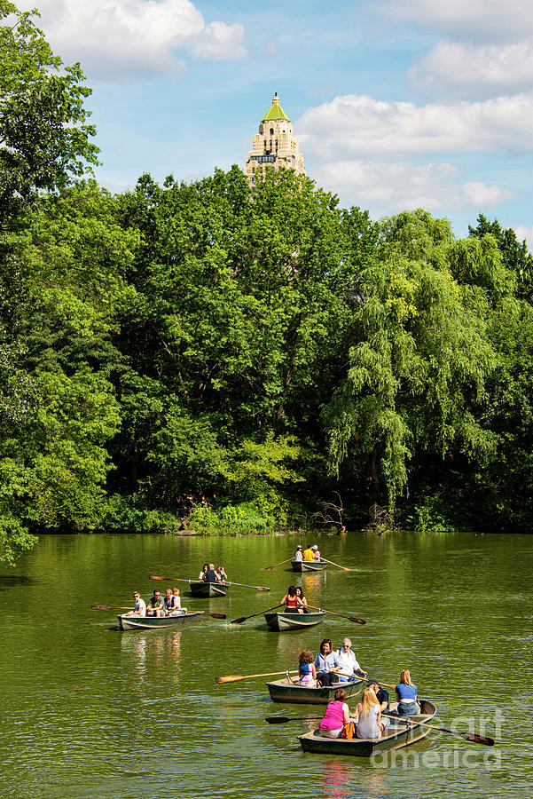 Rowing in Central Park Photograph by Bob Phillips