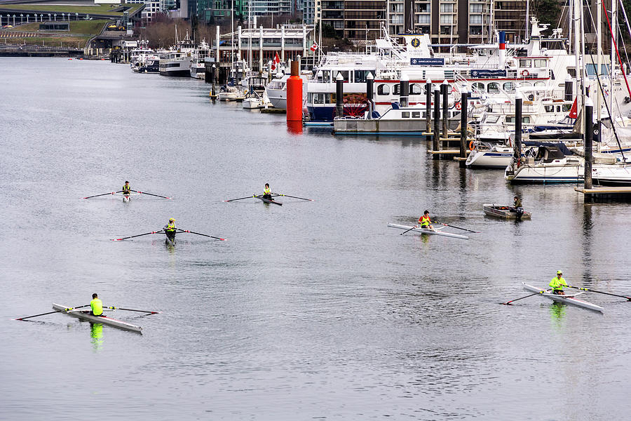 Rowing In Coal Harbour Photograph