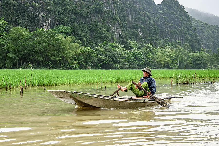 Ninh Binh Photograph - Rowing In NInh Binh by Marla Brown