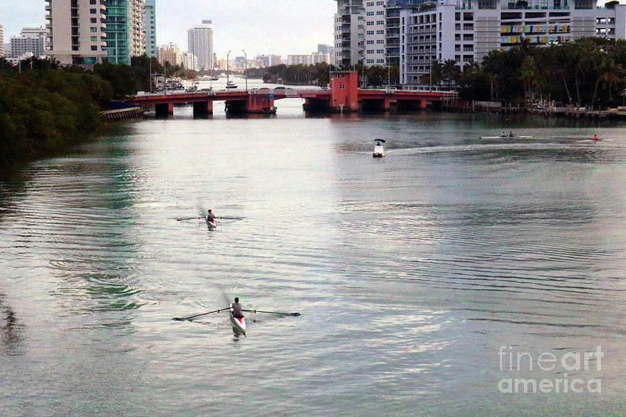 Rowing - Miami Photograph by Doc Braham
