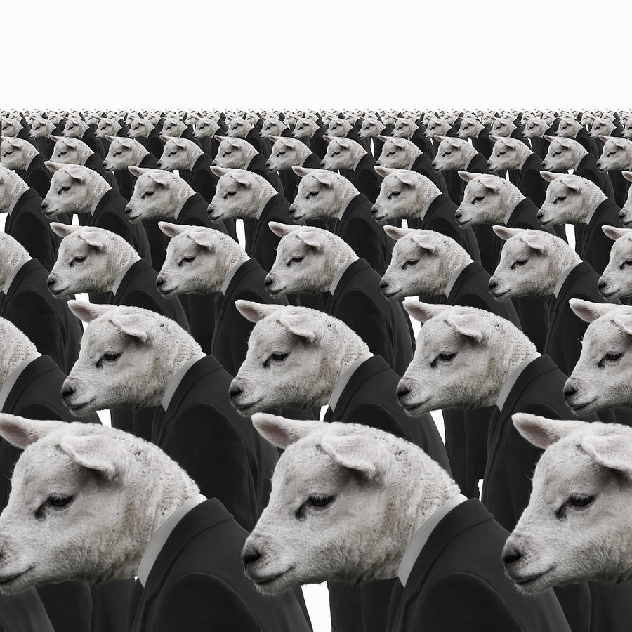 Rows of identical sheep dressed as businessmen Photograph by Andrew Bret Wallis