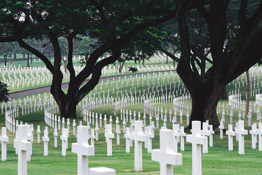Rows Of White Crosses Go Around Large Green Trees In A Cemetery Photograph by Rubberball/John Wang