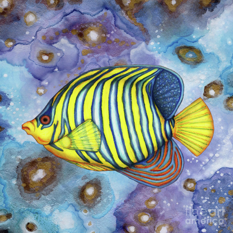Royal Angelfish Abstract Painting by Amy E Fraser