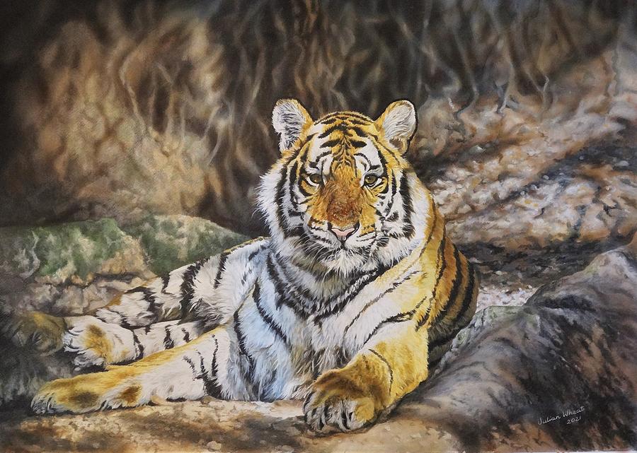 Royal Bengal Tiger cub Painting by Julian Wheat - Fine Art America