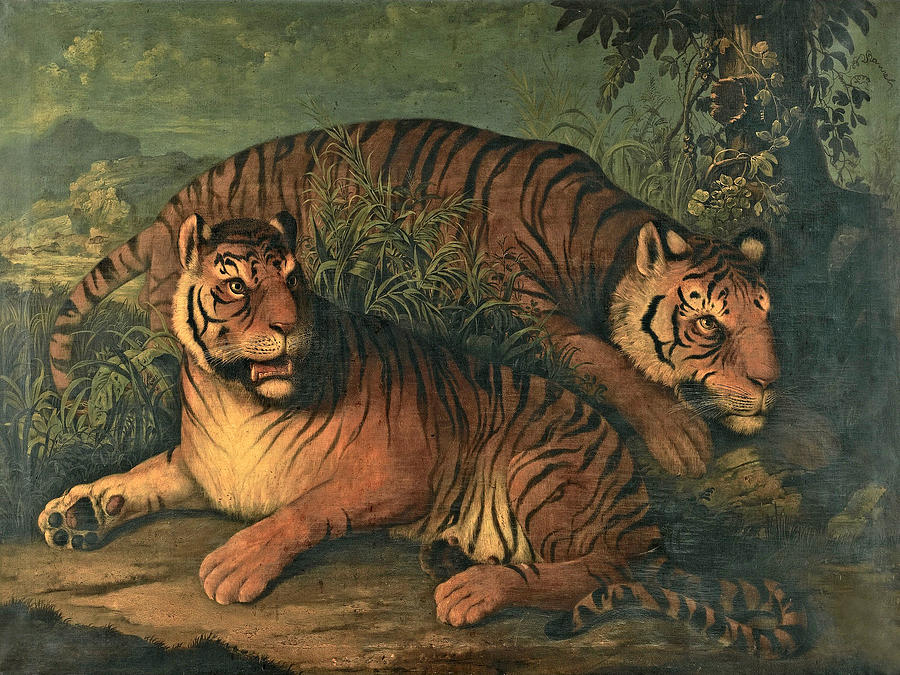 Royal Bengal Tigers Painting by Attributed to Johann Wenzel Peter