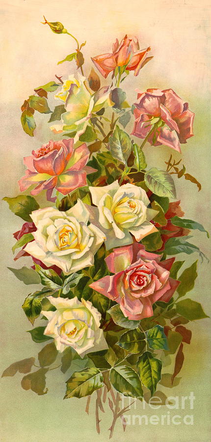 Royal Bouquet 1901 Photograph by Padre Art