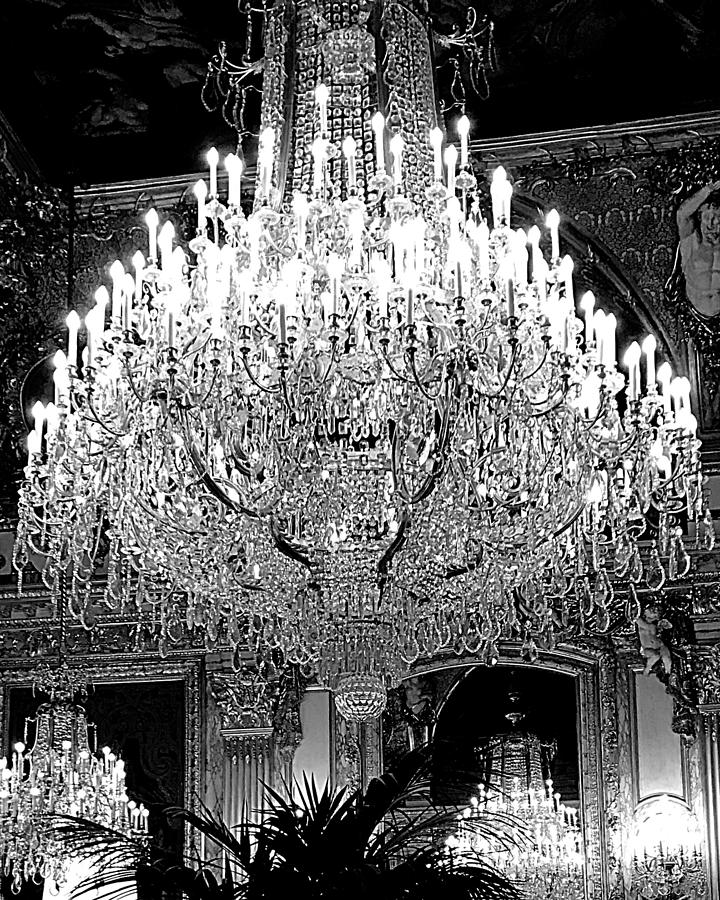 Royal Brilliance BW Photograph by Lee Darnell